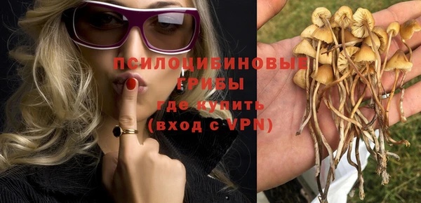 мдпв Белокуриха